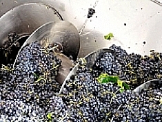 Helezon Screw Conveyor